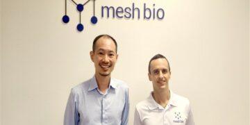 startup Mesh Bio