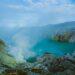 Honest x ecotourism Banyuwangi