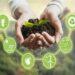 sustainability