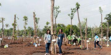 East Ventures sumbang pohon