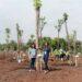 East Ventures sumbang pohon