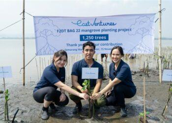 Penanaman mangrove