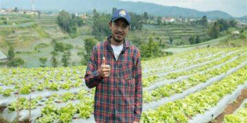 SayurBox - Malang