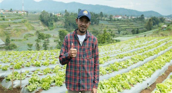SayurBox - Malang