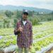 SayurBox - Malang
