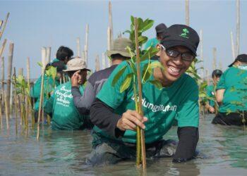Startup LindungiHutan