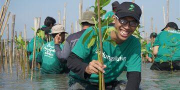 Startup LindungiHutan
