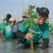 Startup LindungiHutan