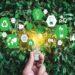 Climate Innovation Acceleration