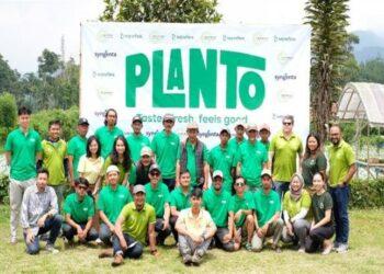 PLANTO - Sayurbox