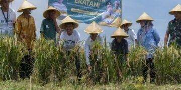 panen raya Eratani