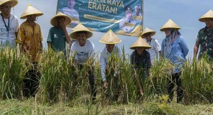 panen raya Eratani