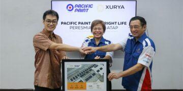 Pacific Paint x Xurya