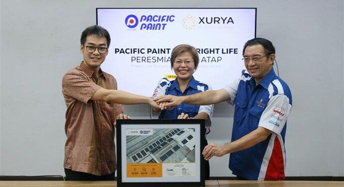 Pacific Paint x Xurya