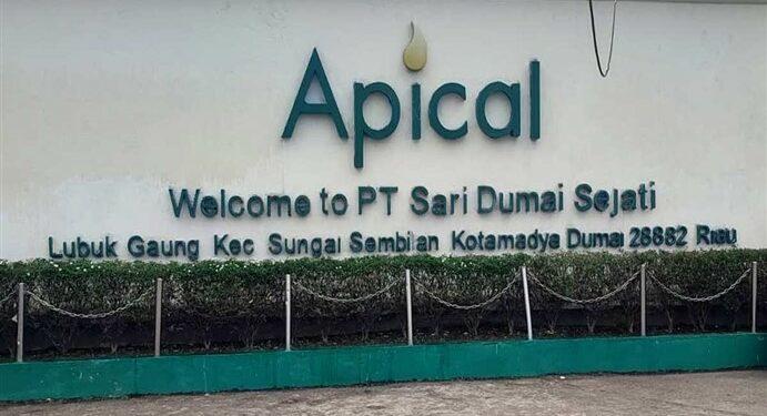 Apical
