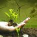 green investing