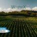 WasteX