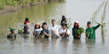 Mangrovejkt.id x Aplikasi Campaign