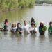 Mangrovejkt.id x Aplikasi Campaign