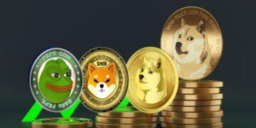 Meme Coin