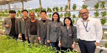 UPH - Smart Indoor Hidroponik