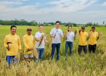 agritech Eratani