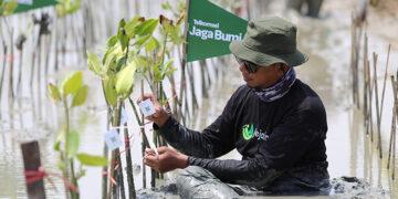 Telkomsel Jaga Bumi Tanam 10.600 Mangrove Hasil Donasi Poin Pelanggan