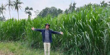 agritech HiFeed