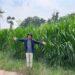 agritech HiFeed