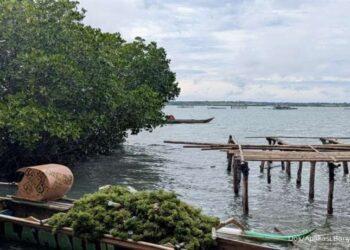 Startup BANYU