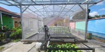 Smart Green House & Agribot SIP