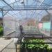 Smart Green House & Agribot SIP