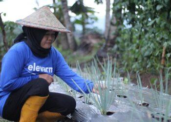 Elevarm