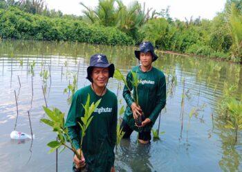 LindungiHutan