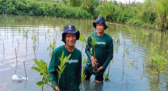 LindungiHutan