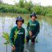 LindungiHutan