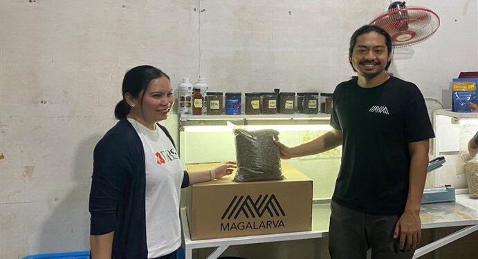 Magalarva