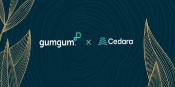 GumGum x Cedara