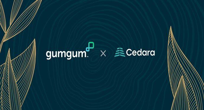 GumGum x Cedara
