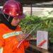 Eramet Indonesia