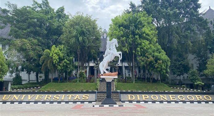 UNDIP