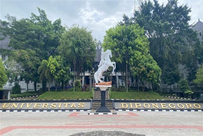 UNDIP
