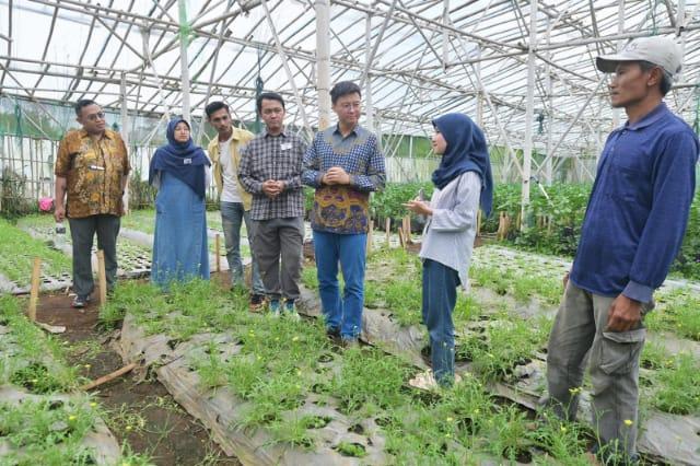 Inovasi Anak Muda
