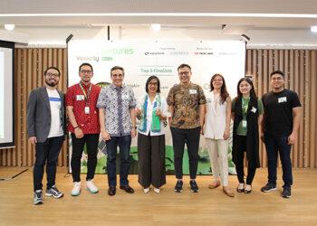 startup hijau