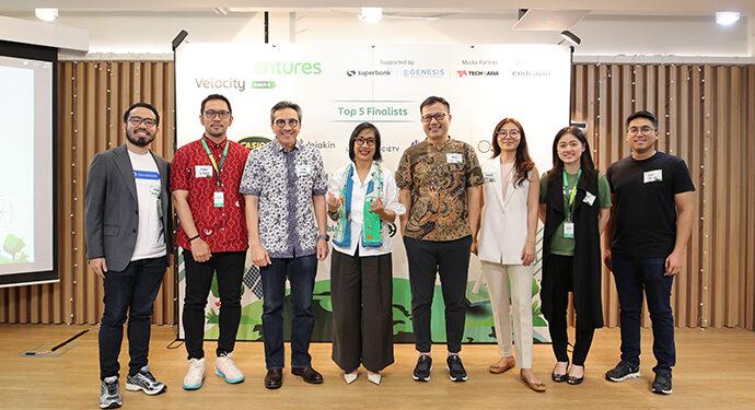 startup hijau