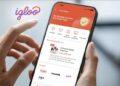 insurtech Igloo