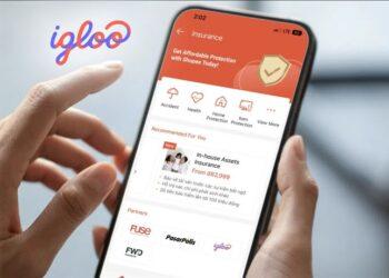 insurtech Igloo