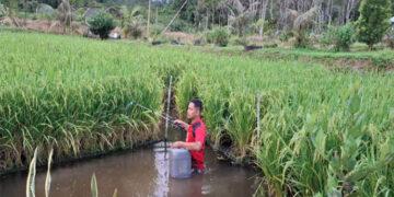PFMuda 2025, Dukung 110 Inovasi Sosial Untuk Ketahanan Energi dan Pangan