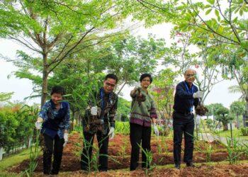 Bintang Toedjoe