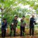 Bintang Toedjoe